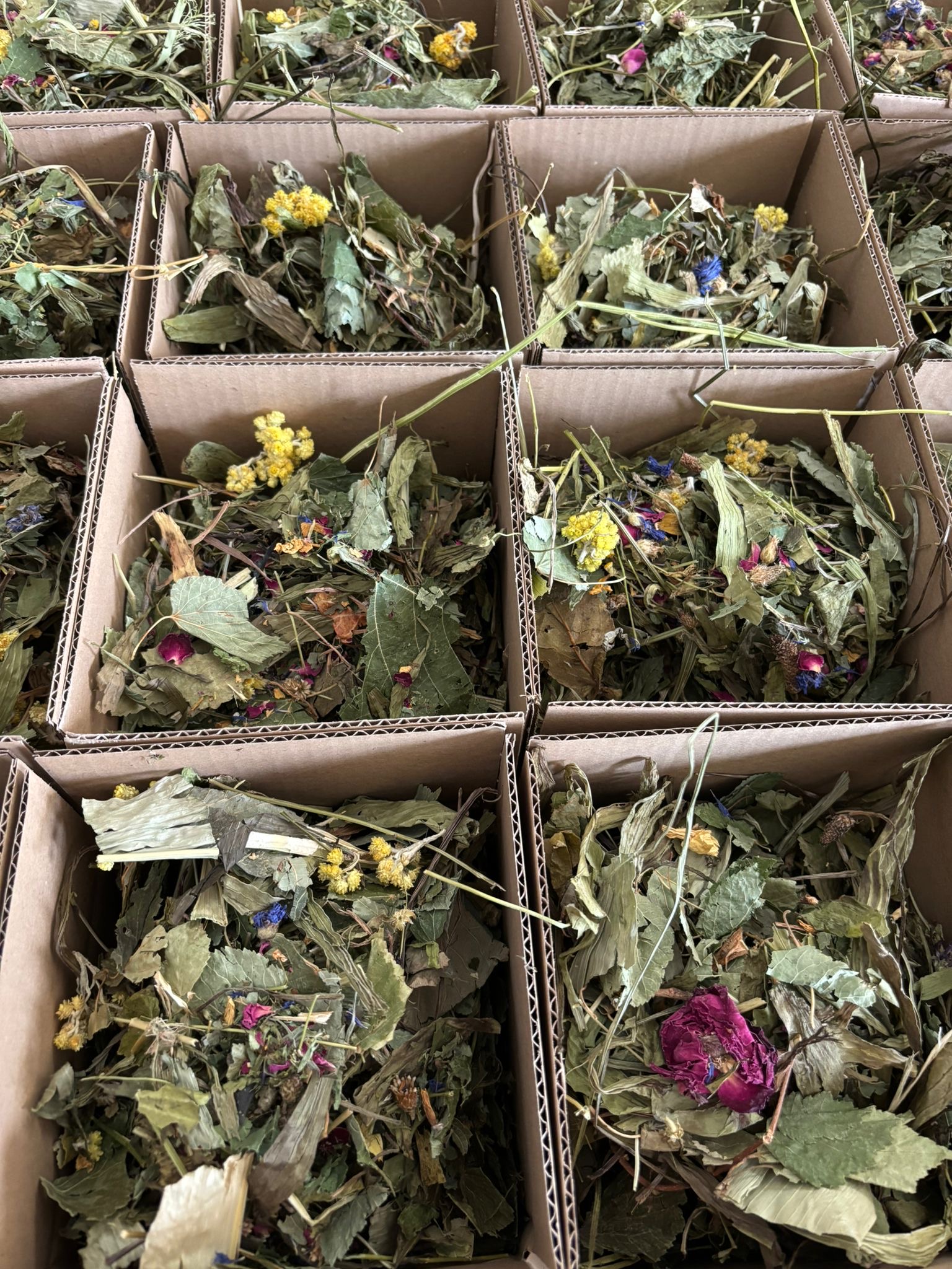 🌿 Bylinkový mix „Zdravé bruško“ – Prírodná hostina pre králička 150g🐰 – Obrázok 2
