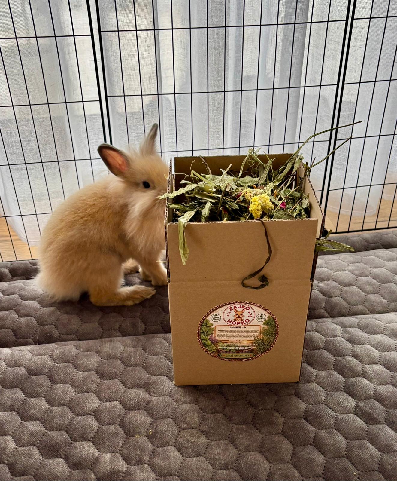 🌿 Bylinkový mix „Zdravé bruško“ – Prírodná hostina pre králička 150g🐰