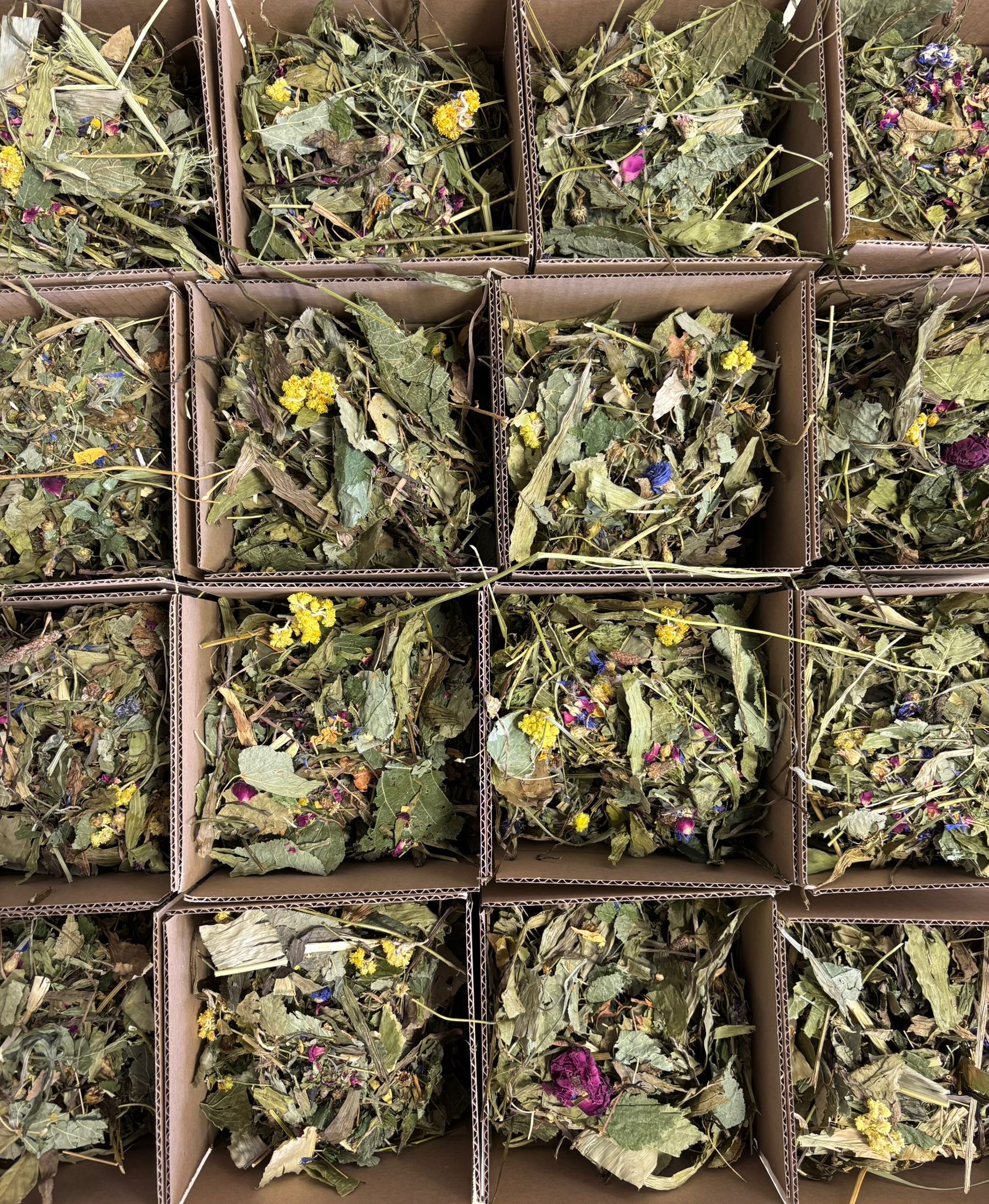 🌿 Bylinkový mix „Zdravé bruško“ – Prírodná hostina pre králička 150g🐰 – Obrázok 3