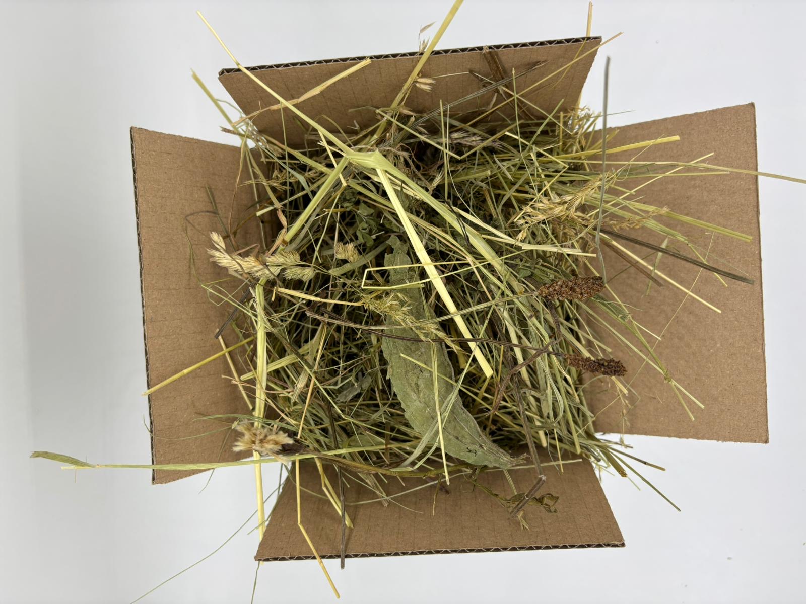 🌿🐰 Kvalitné lúčne seno pre králičky a malé zvieratá – 500g balenie 🐹🌾🌞 – Obrázok 3