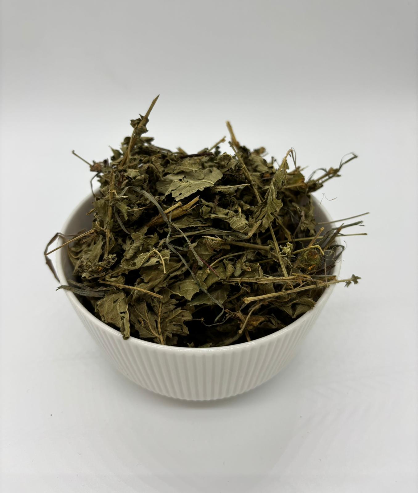 Repík lekársky 50 g 🌿🐰 – Obrázok 3
