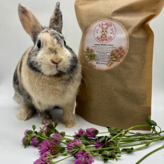 🌸 Ďatelina lúčna – 50 g 🌸