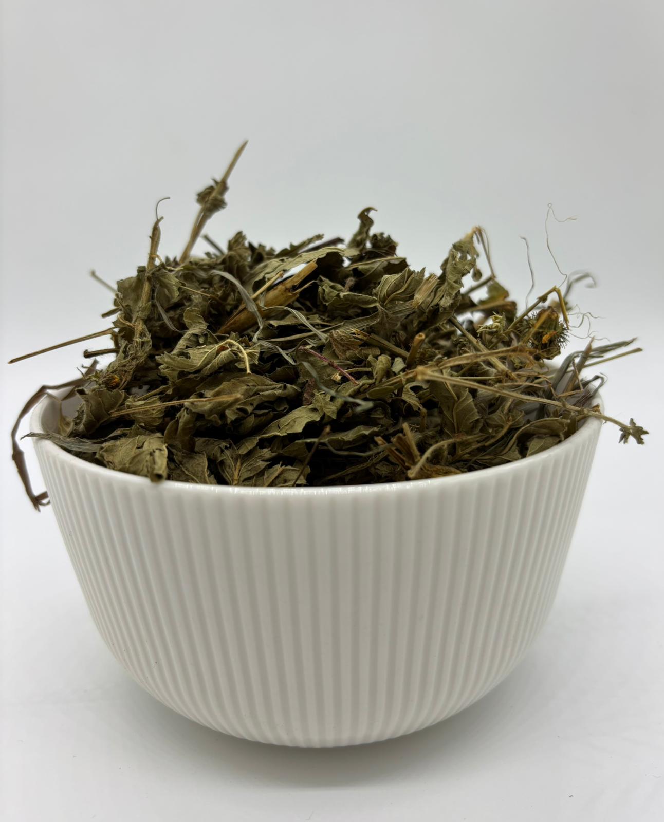 Repík lekársky 50 g 🌿🐰 – Obrázok 2