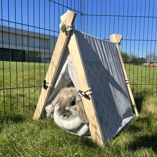 🐰 DUVO+ Stan pre králiky a malé hlodavce – mrkvový motív 🥕 – Obrázok 3