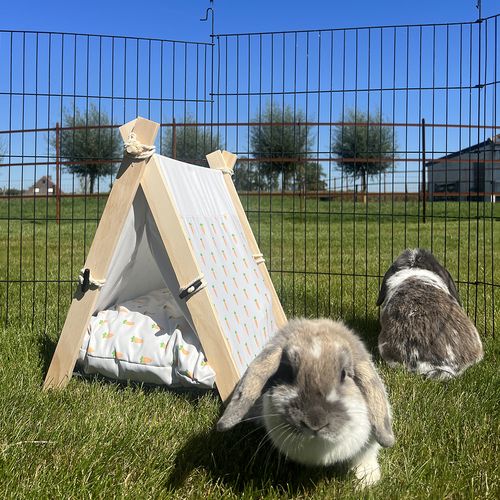🐰 DUVO+ Stan pre králiky a malé hlodavce – mrkvový motív 🥕 – Obrázok 2