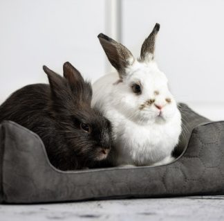 🐾 Pohodlný peliešok pre malých miláčikov veľkosť L pre králičkov 💕