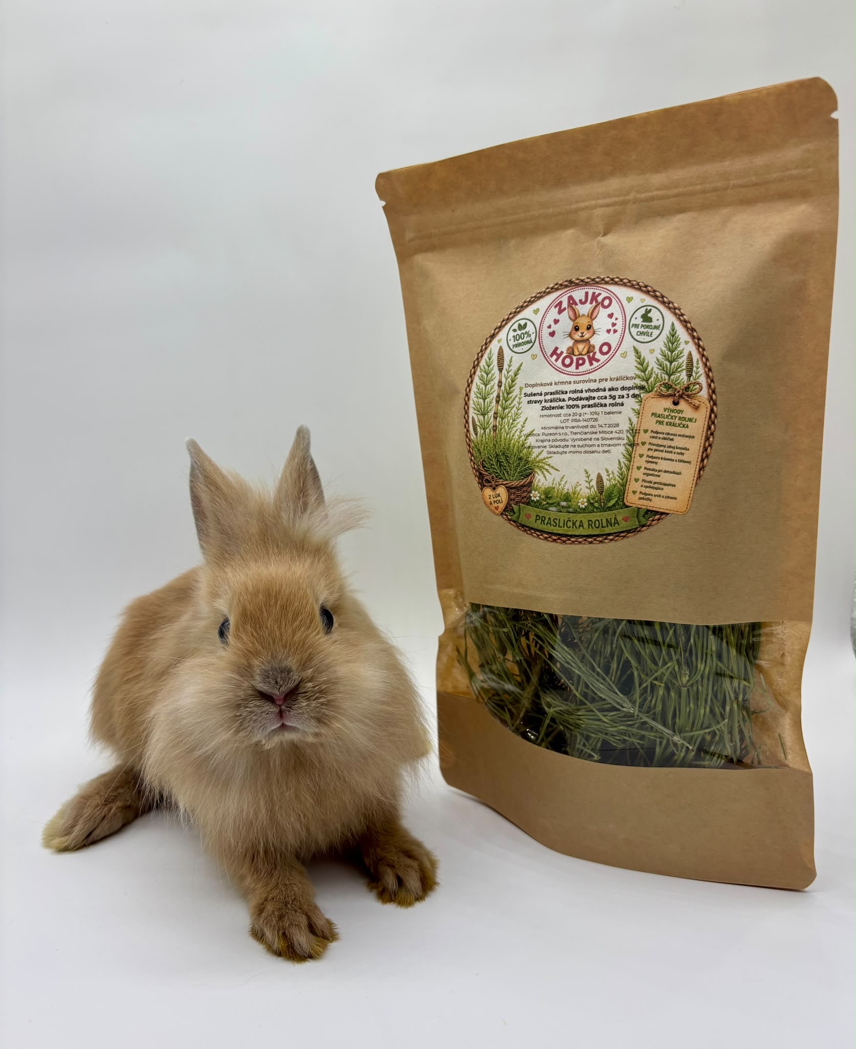 🌿 Praslička roľná – prírodná maškrta pre králiky 🐰 – Obrázok 5