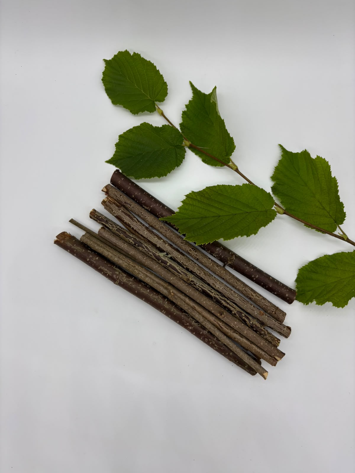 🌿 Lieskové paličky – prírodná maškrta na okusovanie pre králiky 🐰💚 – Obrázok 6
