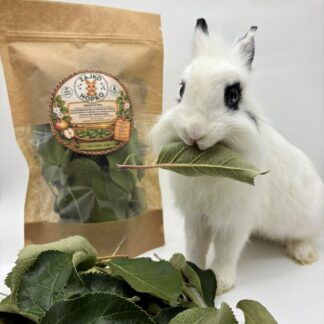 🍎🌿 Jabloňové listy – voňavá prírodná maškrta pre králičkov 🐰