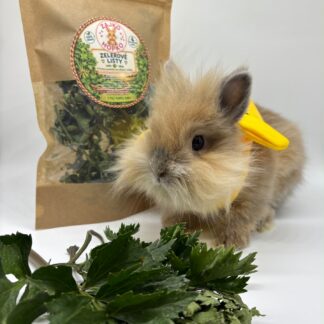 🌿 Zelerové listy – voňavá prírodná maškrta pre králičky 🐰💚