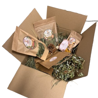 🌿🐰 Králičí lesný poklad – prírodné dobrodružstvo pre uškáčika 🌳💚